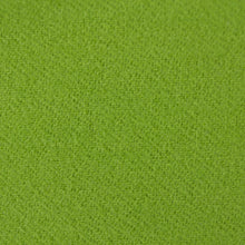 Load image into Gallery viewer, Electric Lime - LN13