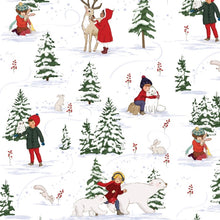 Load image into Gallery viewer, Arctic Kids Half Metre Bundle