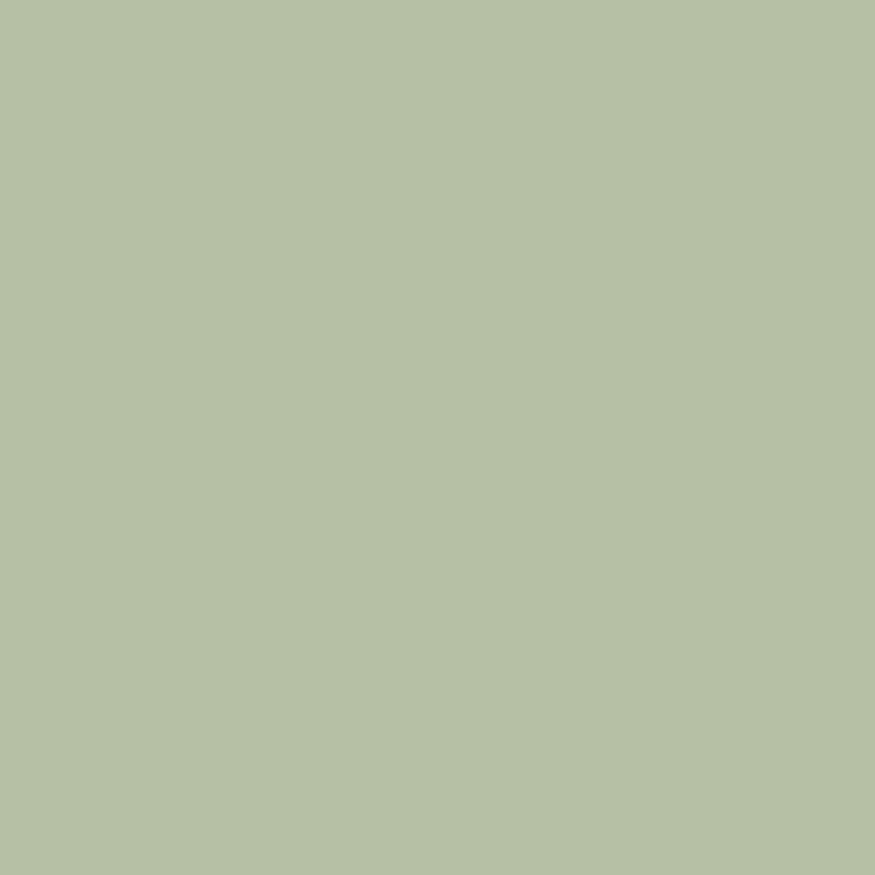 Solids - Sage Green
