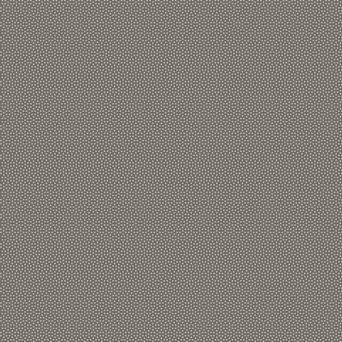 Poppyseed - Charcoal