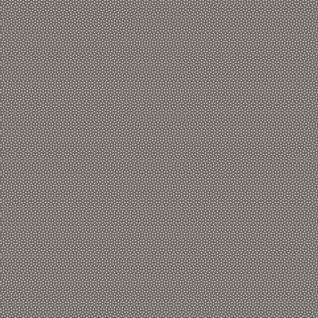 Poppyseed - Charcoal