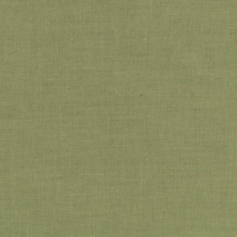 Chambray - Pine