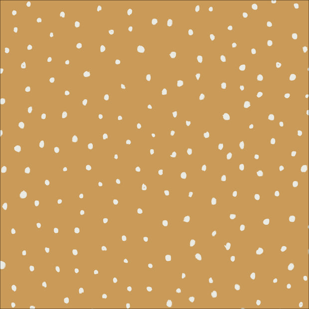 Canyon Bloom - 227612