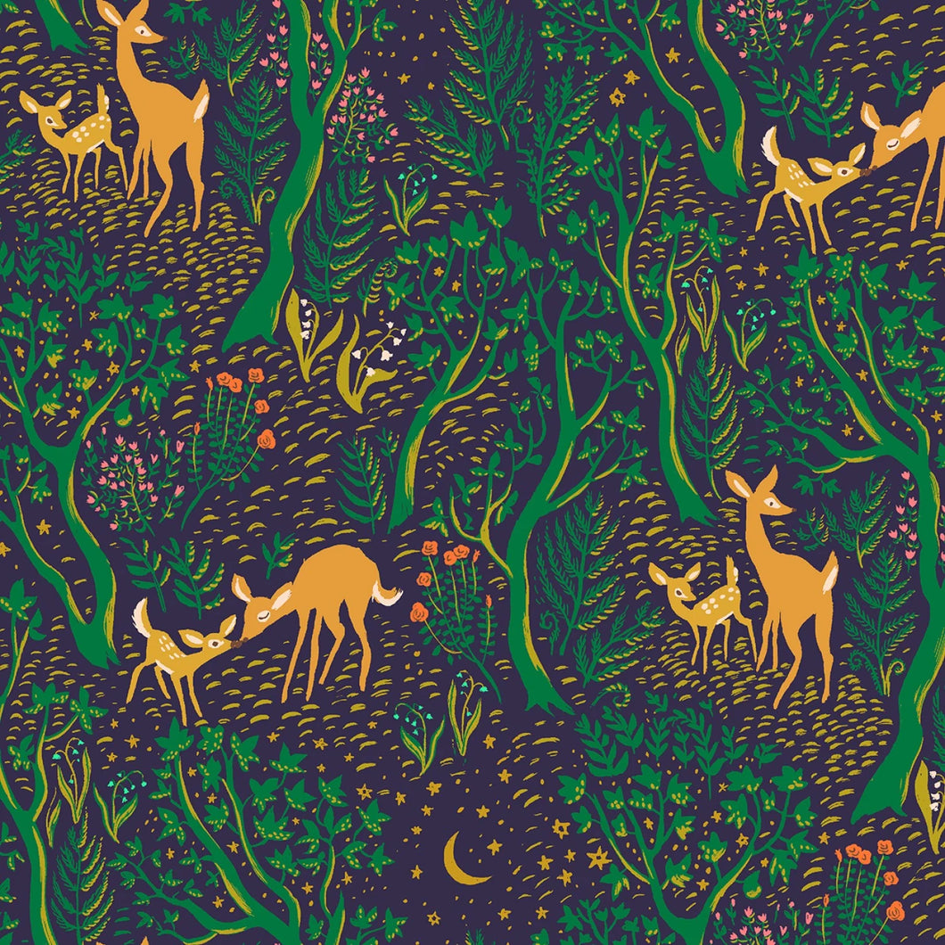 Midnight Visitor WIDEBACK