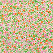 Petit Pan - Flower Power - Pink