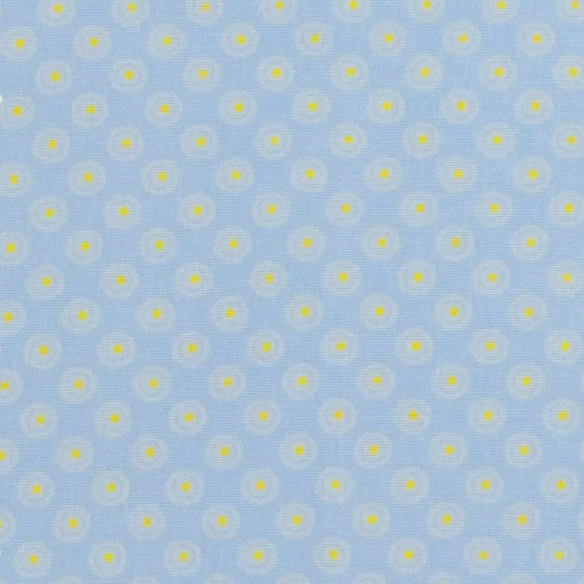 Petit Pan - Galatea - Washed Blue