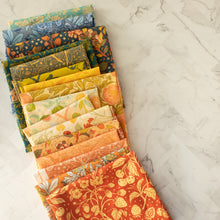 Load image into Gallery viewer, Bountiful Fat Quarter Bundle
