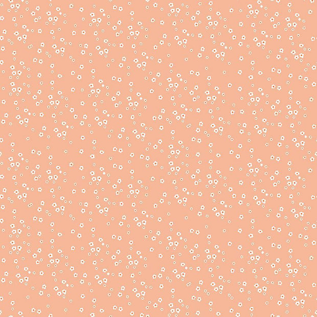 Petal Perfect - Melon