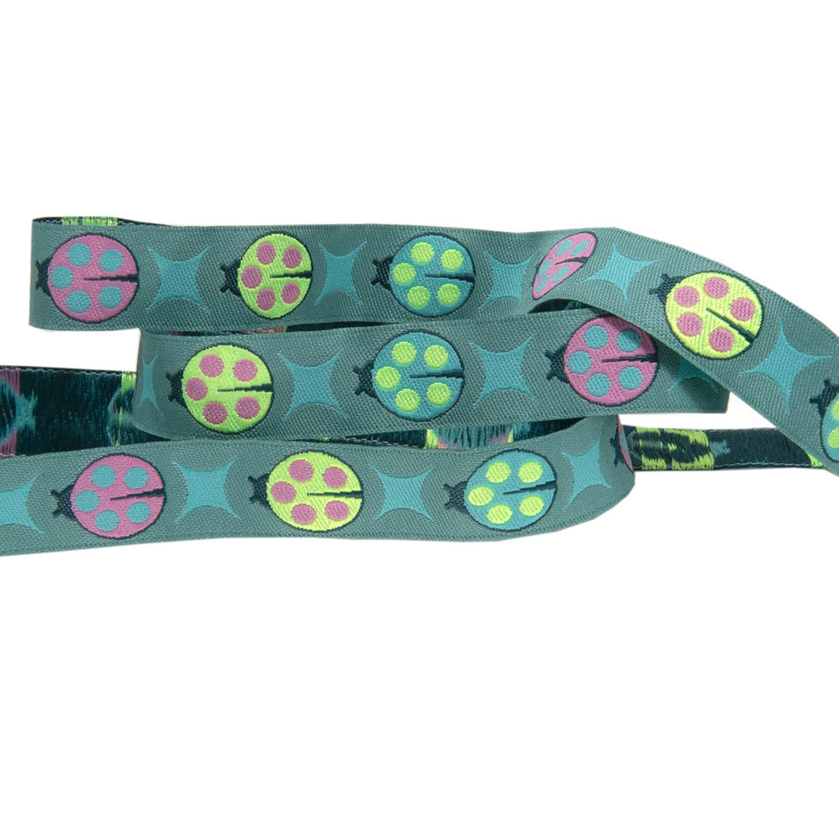 Ladybugs on Teal