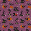 Hocus Pocus - Beaks & Brims