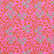 Petit Pan - Aziza - Pink