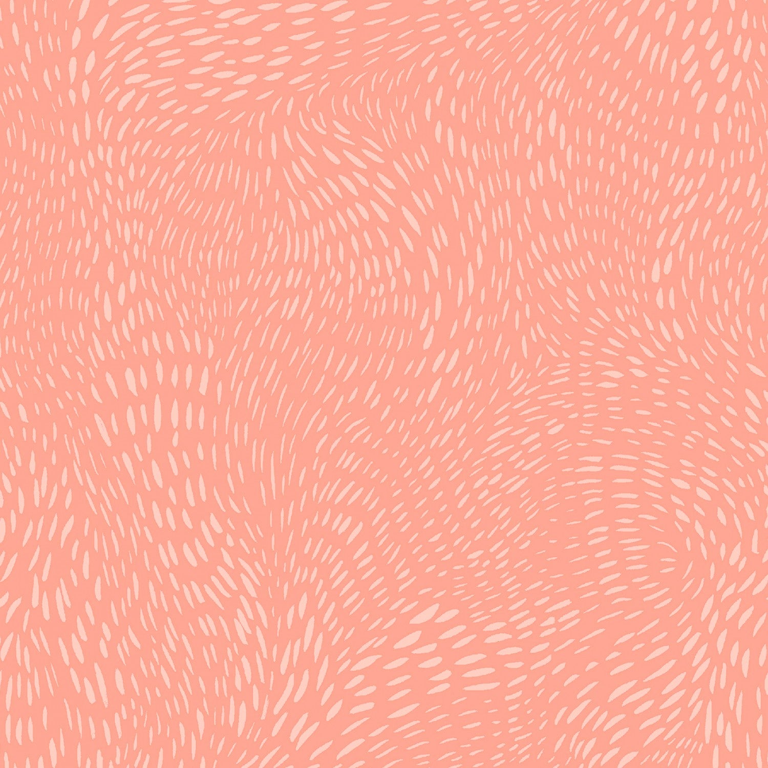 Dash Flow - Conch