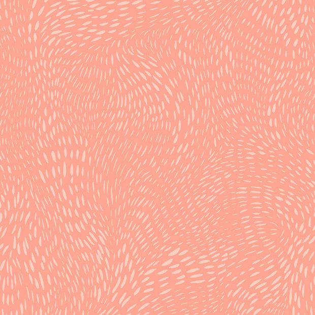 Dash Flow - Conch