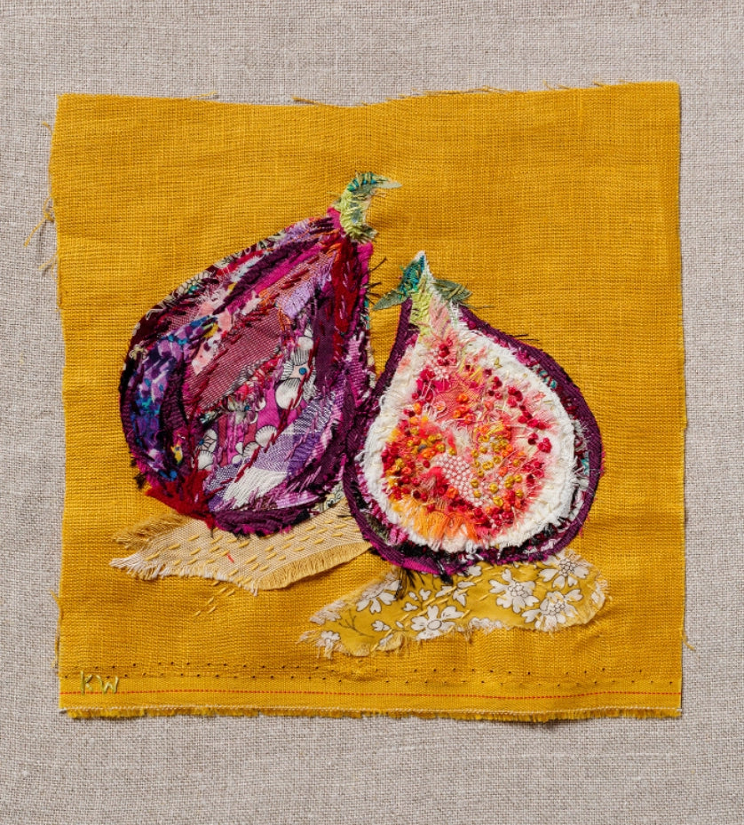 Figs Slow Stitching Kit