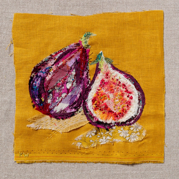 Figs Slow Stitching Kit