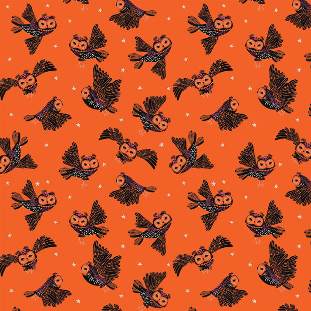 Hocus Pocus - Haunted Hoots