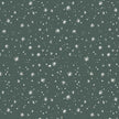 Best in Snow - Snowfall in Fir