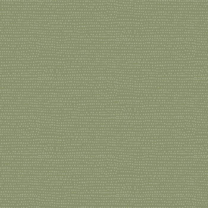 Moonscape - Ivy