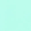 Flannel Solids - Mint
