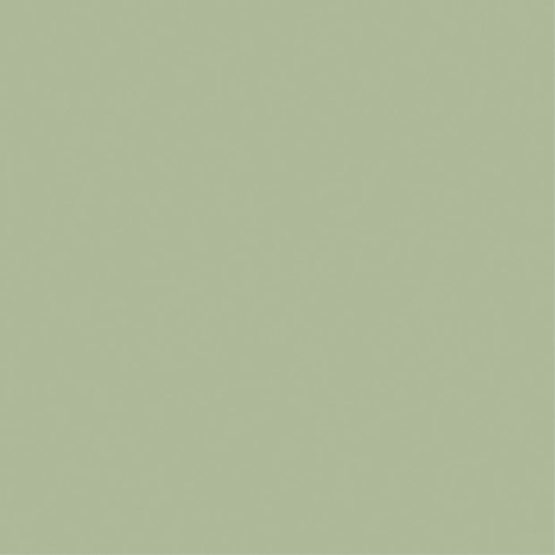 Signature Solids - Pistachio