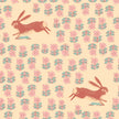 Blush Rabbit WIDEBACK
