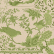 Vase Collection - Green