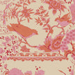 Vase Collection - Pink