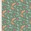 Squirreldreams - SAGE