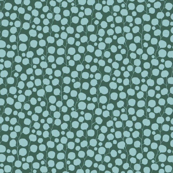 Eucalyptus - LAFAYETTE