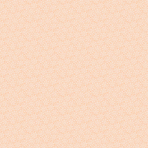 Oasis - Flowers in Peach
