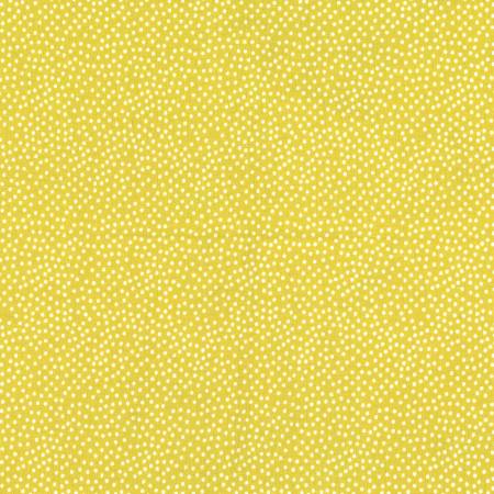 Garden Pindot - Starfruit