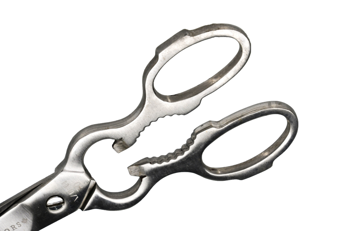Kitchen Shears