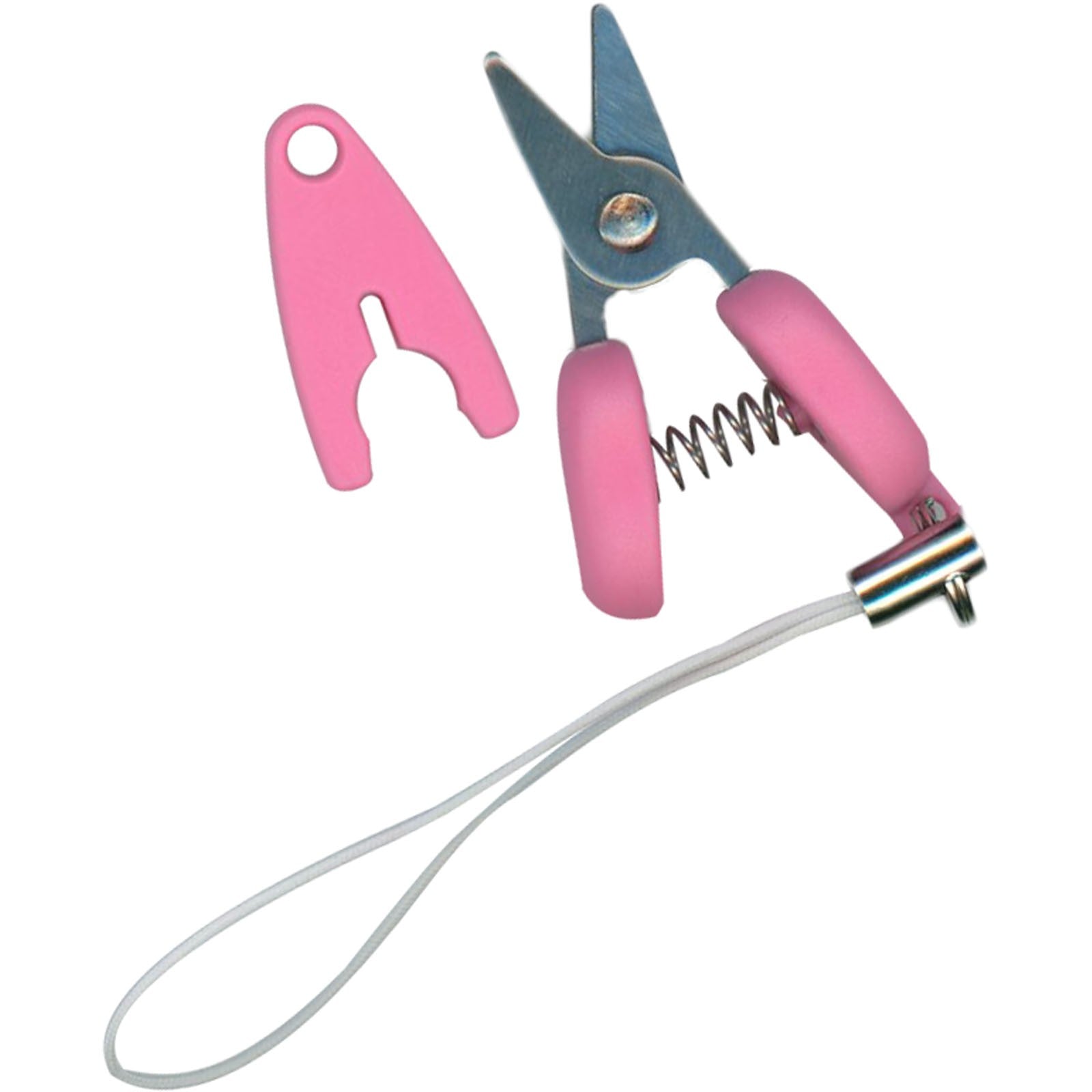 Itty Bitty Scissors