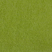 Avocado - LN12