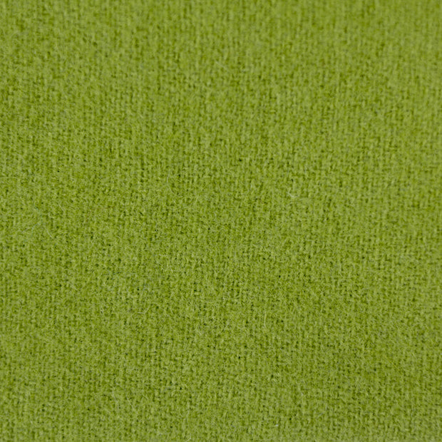 Avocado - LN12