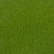 Pine Needle - LN16