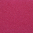 Rasberry - LN22