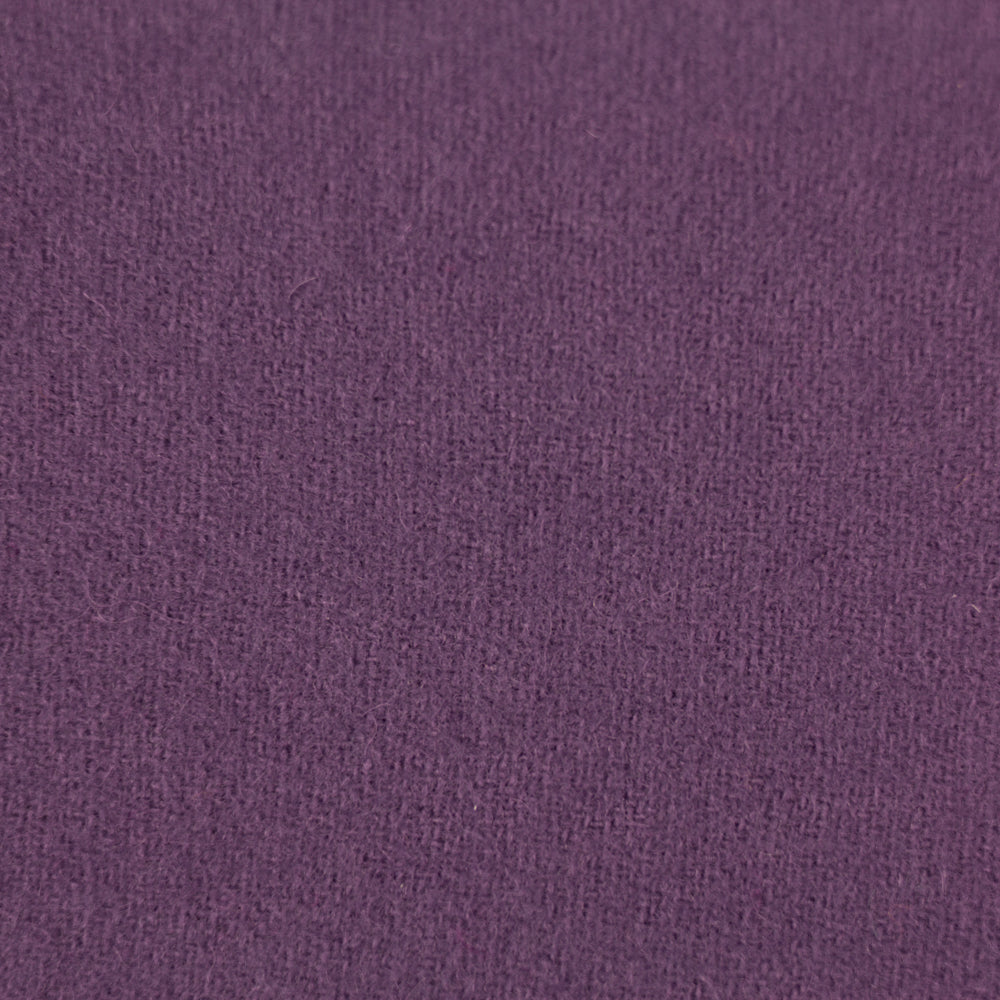 Orchid - LN36