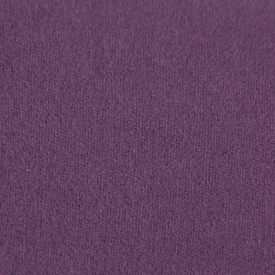 Orchid - LN36