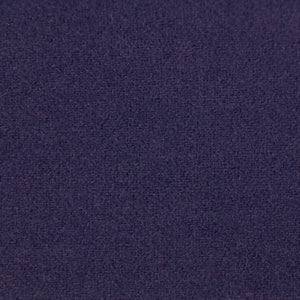 Blue Iris - LN40