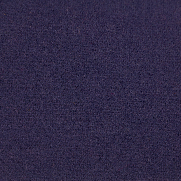 Blue Iris - LN40