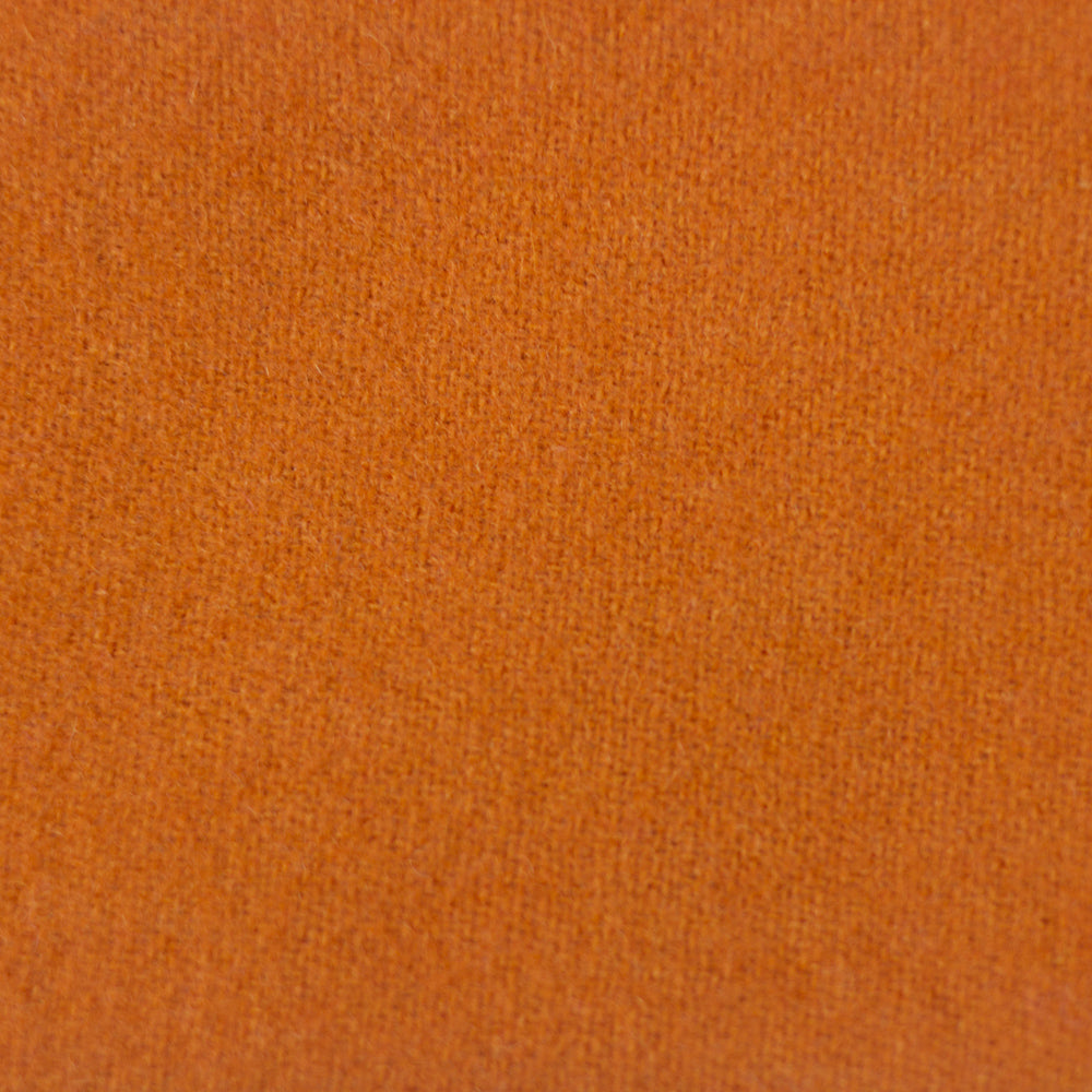 Pumpkin - LN47