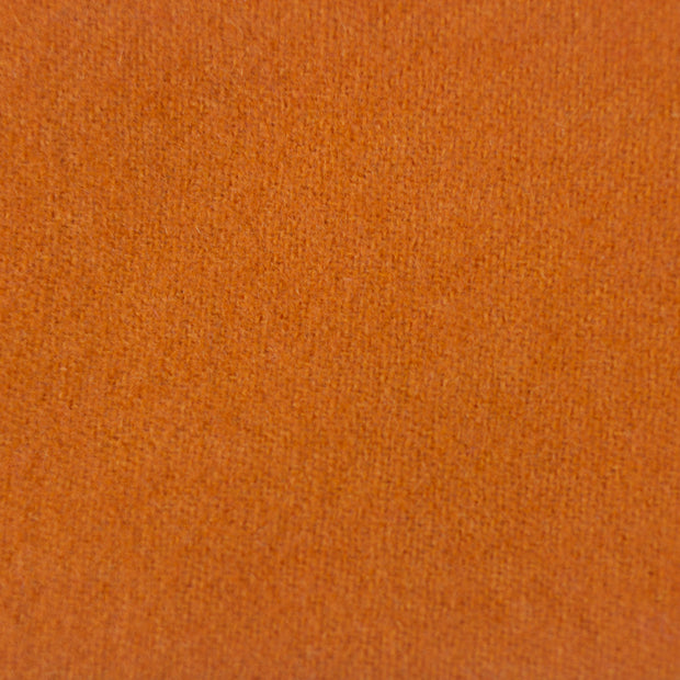 Pumpkin - LN47