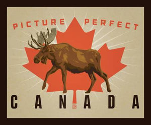 Picture Perfect Canada Quilt Kit