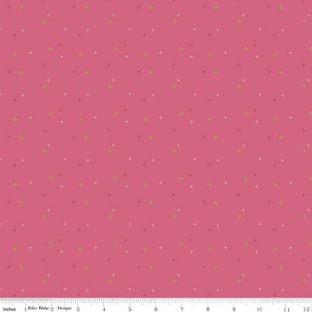 Sparkler - Raspberry