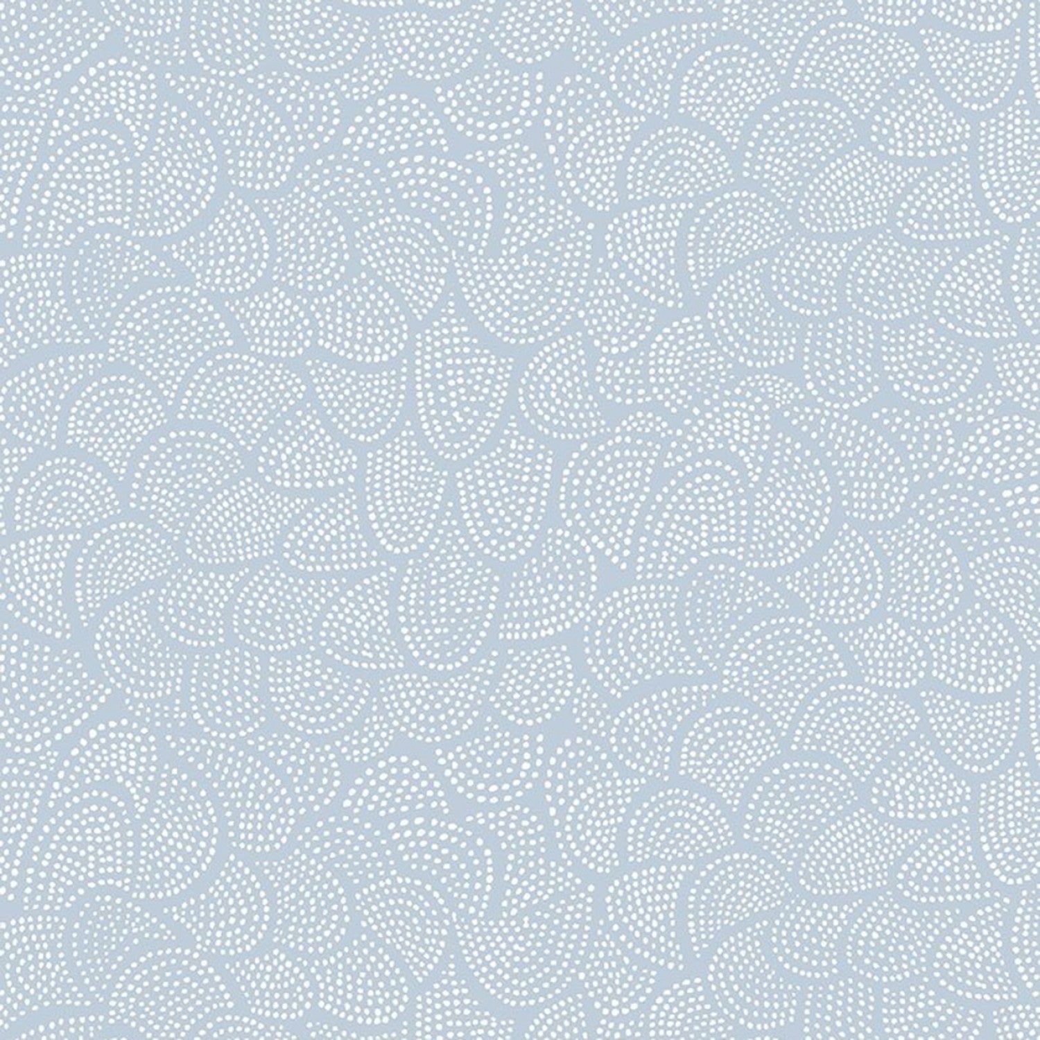 Speckle in Ice