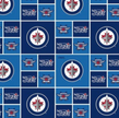 Winnipeg Jets - Block