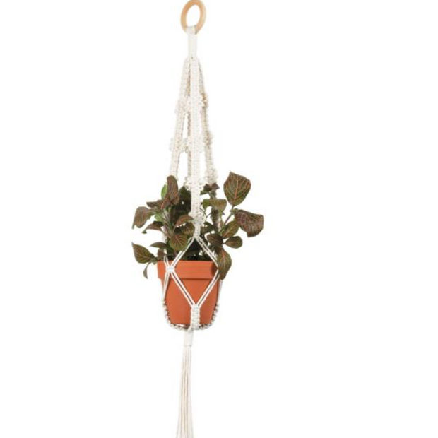 Picot Knot Plant Hanger Kit