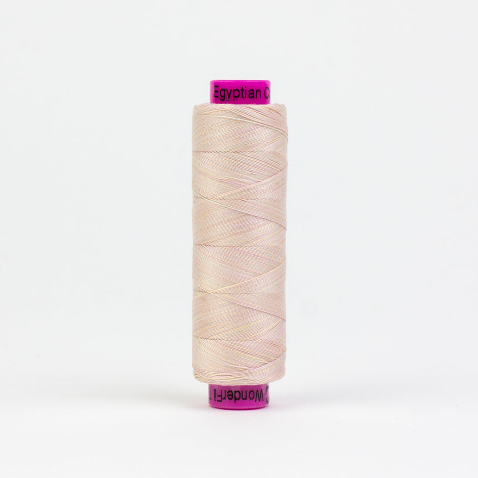 Tutti - TU37 - Shell