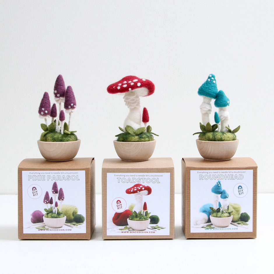 Toadstool Needle Felting Kit